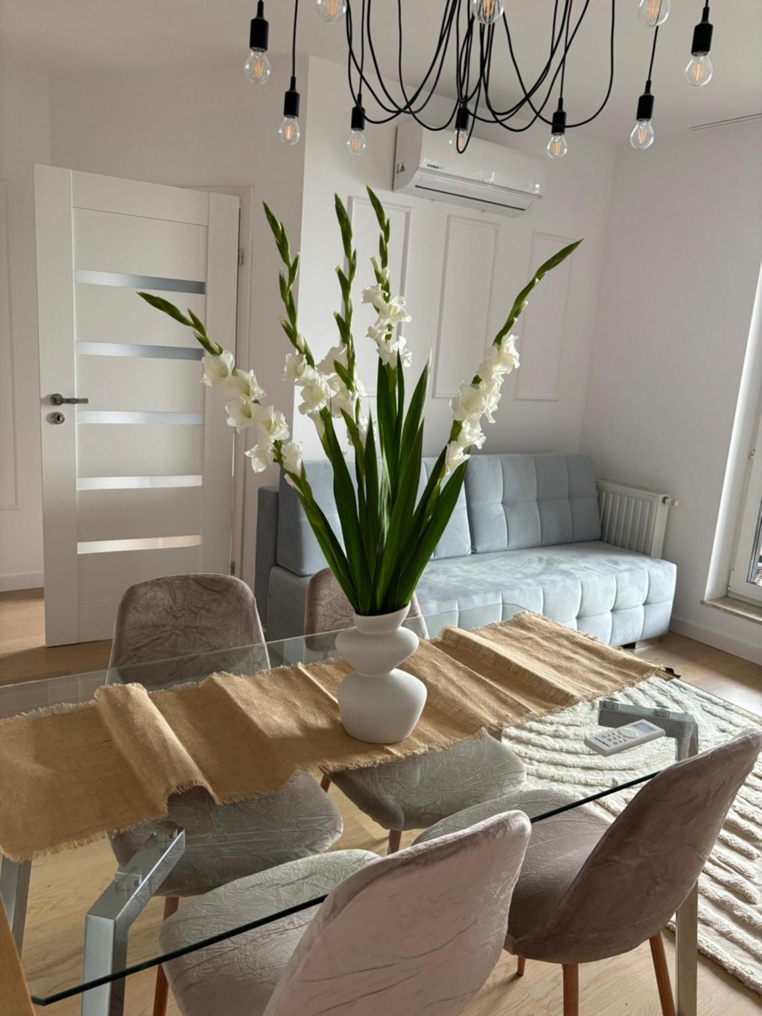 Apartment Business And Friendly Self Check In Rzeszow
